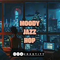 Audentity Records Moody Jazz Hop WAV