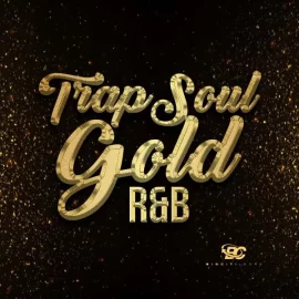 Big Citi Loops Trapsoul Gold RnB WAV