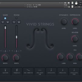 Pulse Audio Vivid Strings Basses KONTAKT