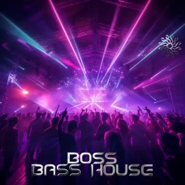 R3d 8 Samples Boss Bass House WAV