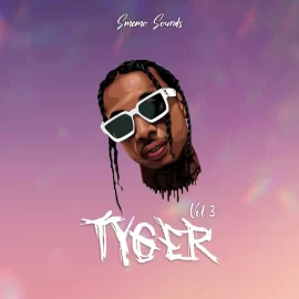 SMEMO Sounds TYGER Vol 3 WAV MiDi