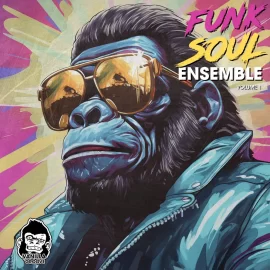 Vanilla Groove Studios Funk Soul Ensemble Vol 1 WAV