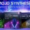 IK Multimedia SampleTank 4 Mojo Synthesis Sound Content-R2R