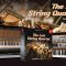 IK Multimedia SampleTron 2 The Lost String Quartet Sound Content-R2R