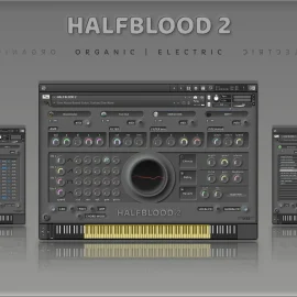 Insanity Samples HALFBLOOD 2 v1.5.0 KONTAKT