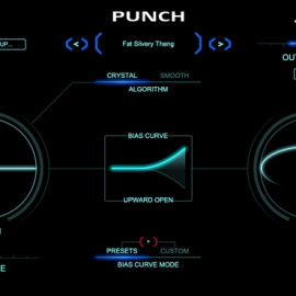 Zynaptiq PUNCH v1.0.0-R2R