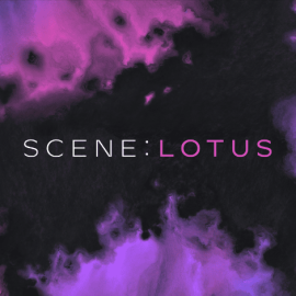 Native Instruments Scene Lotus v1.0.1 KONTAKT